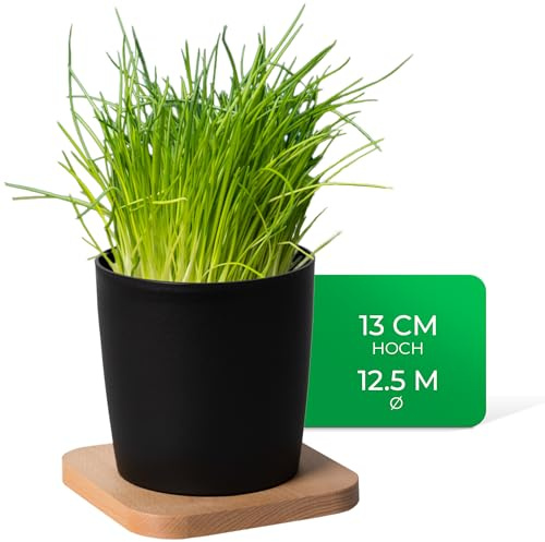 Novaliv Pot à herbes élégant avec support en bois pour chaque rebord de fenêtre, pour les herbes fraîches, le jardin d'herbes aromatiques pour la cuisine, les parterres d'herbes d'intérieur, les
