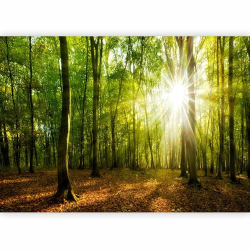 murando Photo Wallpaper Forest 400x280 cm / 158 x 110 | Non-woven Premium Art Print Fleece Wall Mural Decoration Poster Picture Design Modern Landscape Nature Sunbeam
