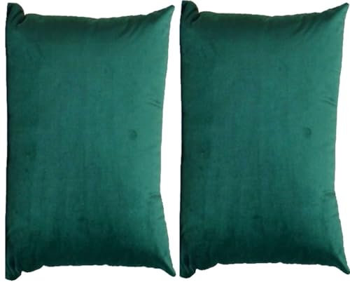 Kissenhülle 50x70 Samt Sofa Kissenbezüge 40x70 ,2er Set Couch Kissenbezug 60x80 Dekokissen Bezug Rechteck Pillow Cases,Dekokissen Überzug Waschbar Moderne Pillowcase ( Color : #5 , Size : 50x70 cm set