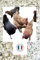 2,5KG de Coquilles d'Huîtres Françaises Naturelles, hygiénisées, calibrées et broyées pour volailles - Haute Teneur en Calcium: 36 à 38% et Oligo éléments (2,5 kg)