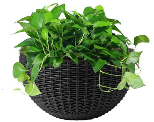 Macetas Colgantes Exterior Pared, Cesta Para Colgar En La Pared Plantas, Con Agujero De Drenaje Y Ganchos, Para Jardín, Sala De Estar, Ventana, Cocina, Balaustrada, Estante, Valla, Dormitorio