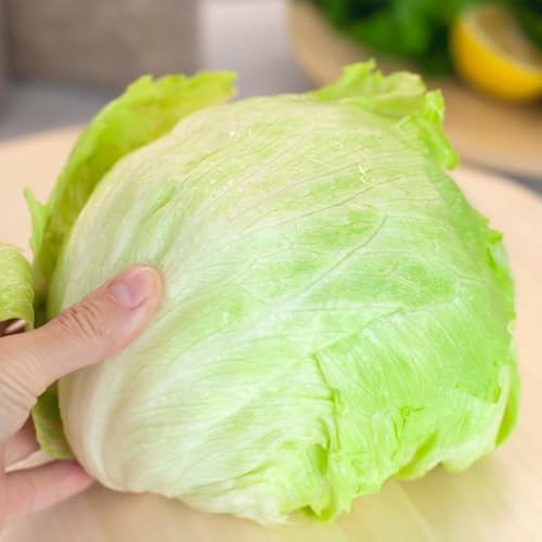 Semi di lattuga iceberg biologici, seminare vecchie varietà semi per aiuole rialzate da giardino biologici 200pcs