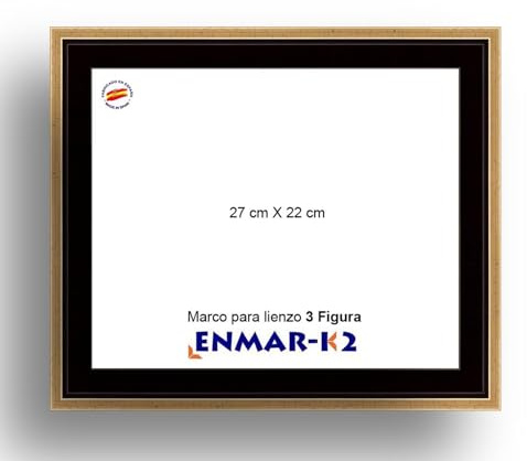 ENMARK2 Marco caja americana dorado para lienzo 3 Figura (22X27 cm) sin cristal ni trasera