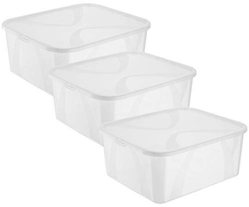 Rotho Arco 3er-Set Aufbewahrungsbox 19l mit Deckel, Kunststoff (PP) BPA-frei, transparent, 3x19l, (42 x 35,1 x 17,2 cm), 3