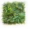 Paneles de pared de flores artificiales, paneles de plantas de seto artificial, paneles de pared de plantas de hierba, valla de pared verde, para decoración del hogar interior o exterior (C)