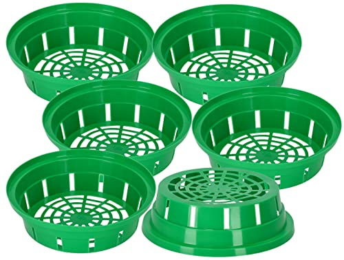 KOTARBAU® Set 6 Unidades Cesta para Bulbos - Plástico - ⌀ 200 mm - Verde - Bandeja para Plantar Bulbos de Flores - Tulipanes - Narcisos - Organizador Jardín - Reutilizable