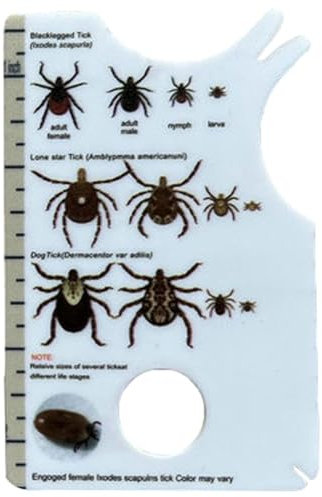 Zeckenkarte für Kinder | Katzenzecken, Hunde, Katzen, 8,5 x 5,4 x 0,1 cm Zeckenkarte mit Lupe, Entferner,Tragbare Zeckenkarten für Menschen,Lupe für Haustiere, Zeckenfänger, Zeckenkarte mit Lupe. Leic