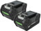 vhbw 2X Akku kompatibel mit McCulloch LI 40CS, LI 40HT, LI 40GB, alle 40V Produkte, LI 40T Werkzeug (4000 mAh, Li-Ion, 40 V)