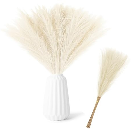 TILONKJ 30 pezzi Pampas Decorative, 55cm Pampas Colore champagne Decorative Alte, Piume Decorative per Vaso, Piume Decorative Lunghe, Per Matrimonio, Soggiorno, Arredamento Boho, Casa