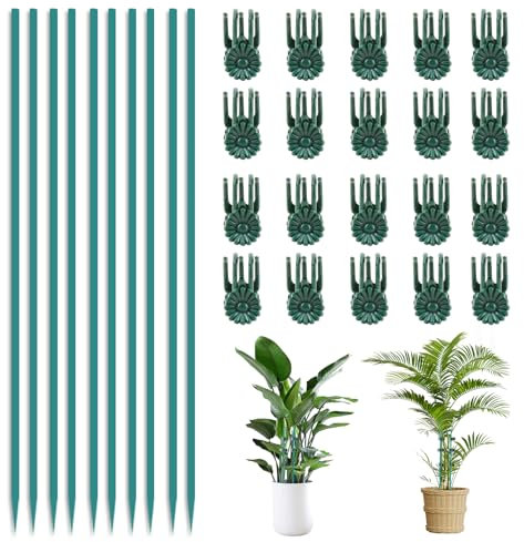 SMCEHEYA Pali di supporto per piante da 30 cm, 10 pezzi con 20 clip per piante da giardino, bastoncini di bambù pieghevoli per piante da interno, bastoncini per orchidee da giardino o da casa, plettri