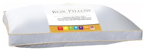 TT ThreadTrade Egyptian Cotton Box Pillows Pack, Fluffy & Soft, Pillow for Back, Stomach or Side Sleepers, HollowFibre Filling Pillows, Yellow Linning, (PACK OF 1)