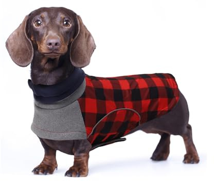 Babepet Waterproof Small Dog Winter Coat, Dachshund Jacket With Harness Hole - Ideal for Walking, Hiking, Camping - Red Plaid - M