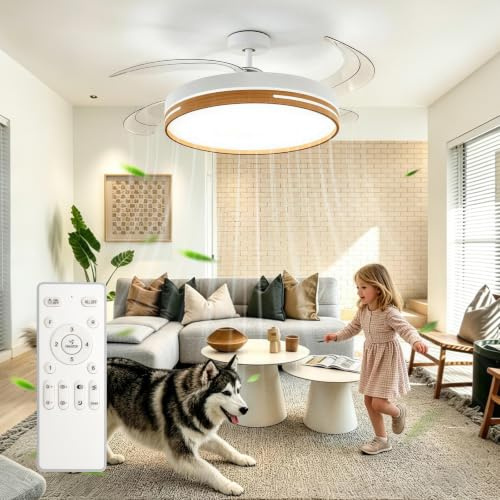 Maxled, Light is Led! 30W Takfläkt Med Belysning Med 4 Infällbara Transparenta Blad 4094LM Dimbar Takfläktar Med Lampor Timer Minnes Funktion Fjärrkontroll 6 Hastigheter Lågprofil Takfläkt