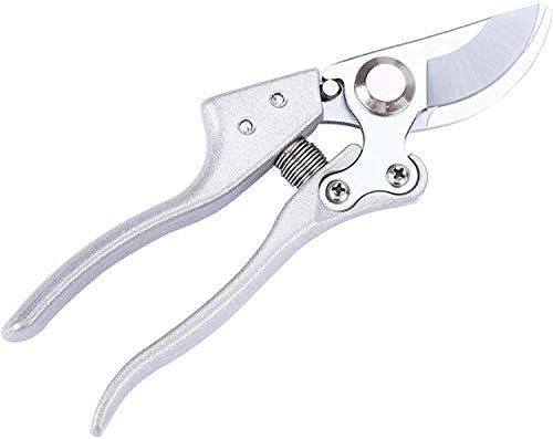 Forbici a cricchetto Sk5 Lama affilata in acciaio legato Cesoie da potatura da giardino Incudine Potatore a mano Potatore da giardinaggio Forbici per raccolta frutta e verdura Garde portatile
