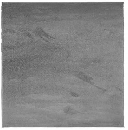 vidaXL Teppich, Wohnzimmerteppich Kurzflor Modern, Bodenteppich Flauschig Weich, Pflegeleicht Teppich für Wohnzimmer Schlafzimmer, Anthrazit 200x200cm