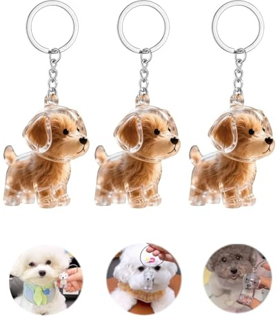 Mfqire 3PC Llavero Recogedor de Pelo de Perro Transparente, Cápsula Recuerdo para Cabello de Mascotas, Llavero DIY, Regalo Creativo para Amantes de los Animales, Almacenaje Pelo Perro (1)