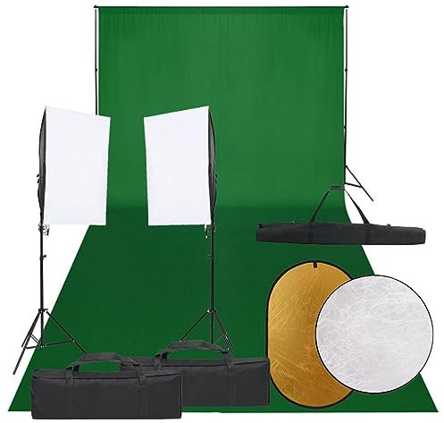 vidaXL Fotostudio-Set mit Beleuchtung, Hintergrund und Reflektor, Studio-Kit, Tageslicht-Lampe, Studio-Beleuchtung-Set, Studio-Licht, Fotografie-Licht