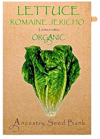 Organic Lettuce ❁ Romaine Jericho ❁ 150 Seeds Heirloom - Non GMO