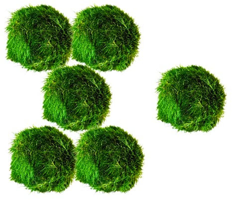 Marimo Moss Balls Aquarium Aquatic Plant Easy Betta Shrimp Java (5 +1 Free)