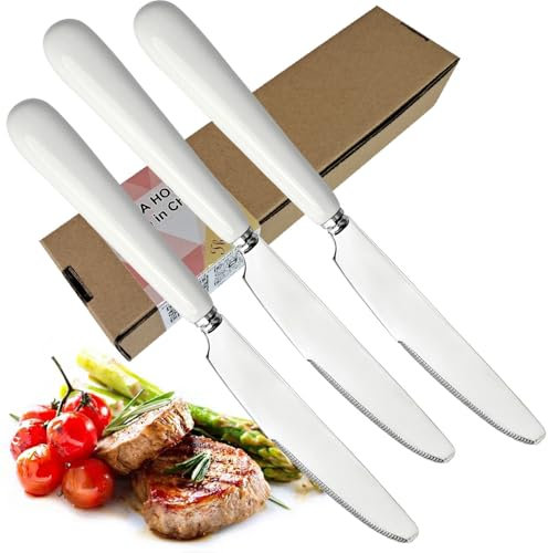 MEIYAHOME Coltello da bistecca con manico in ceramica bianca, lama in acciaio inox S42000, coltelli da tavola per hotel, 22cm, finitura lucida a specchio (3 coltelli coltello da pranzo)