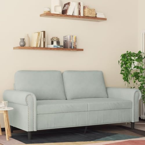 Mandloder Sofá de 2 plazas, gris claro, 140 cm, sofá acolchado de terciopelo con estructura de metal, sofá lounge moderno, cómodo para sala de estar, habitación de invitados