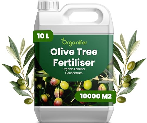 Organiskt flytande gödsel 10L för Olive tree – stimulerar rötter och vitalitet - Organifer