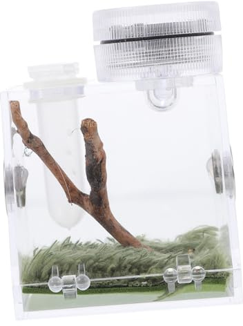 WEKADRIN Boîte Habitat pour Araignées avec Lampe Micro Terrarium Ventilé pour Élevage de Petites Araignées et Insectes Facile à Observer et Nourrir Décoratif pour Table et Étagère