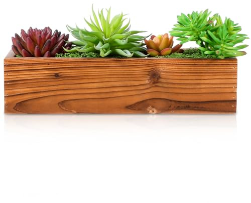 Didiseaon Sukkulenten-Pflanzkasten aus Holz, rechteckig, karbonisiert, für drinnen und draußen, Gartenarbeit, rustikaler Holzpflanzenhalter für Balkon, Kräuter und Grünpflanzen