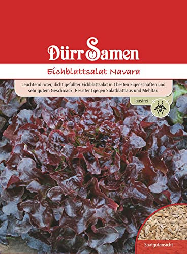 Eichblattsalat Samen Navara Eichblattsalatsamen Roter Salat Salatsamen Lausfrei ca 100 Korn Saatgut Garten Hochbeet Dürr Samen