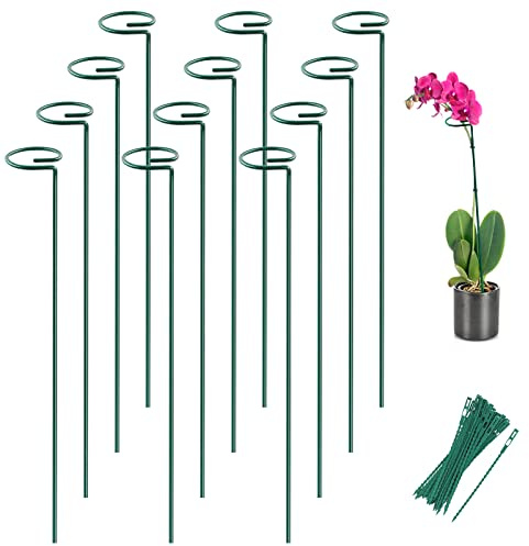 Joyhalo 12 Pack Plant Stakes, 16 Inch Plant Support Stakes, Plant Sticks Support with 24 Twist Ties, Flower Stakes for Plants Peony, Amaryllis, Marigold, Coreopsis, Tomato Seedling, Sapling Etc