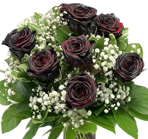 Großer Blumenstrauß - 10 schwarze Rosen und Schleierkraut - Rosenstrauß inklusive gratis Grußkarte