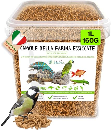 Detox Organica Camole della Farina Essiccate [ 160gr/1000ml-PRODOTTO GERMANIA ] Qualità Premium, 100% Naturale |Tarme della Farina – Mangime per Uccelli Selvatici, Pesci, Tartarughe, Roditori, Rettili