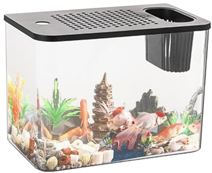 Generic - Tisch-Aquarium, Transparentes Fisch-Aquarium | Aquarium-Fischschalen, Kompaktes Fischaquarium, Kleine Aquarien Für Kleine Fische, Fischzucht, Kinder, Erwachsene, Innenbereich