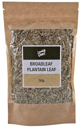 Lowhill Valley Broadleaf Plantain Leaf Herbal Tea - Cut and Dried Plantago Major Leaves for Digestive Comfort and Immune Support - Rich in Vitamins and Antioxidants - 100% Natural – 50g