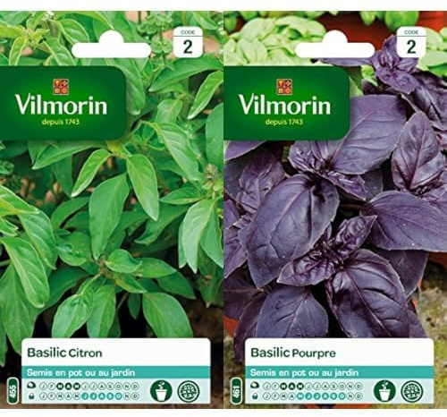 Vilmorin 5873342 Pack de Graines Basilic Citron + Vilmorin 5873046 Pack de Graines Basilic Pourpre
