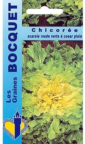 Sachet de graines de Chicorée scarole ronde verte à cœur plein - 4 g - légume feuille - LES GRAINES BOCQUET