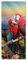 Pixxprint Glasbild Panorama, Wandbild aus Echtglas, Papageien Pärchen, 100x40 cm, inkl. Aufhängung und Abstandshalter