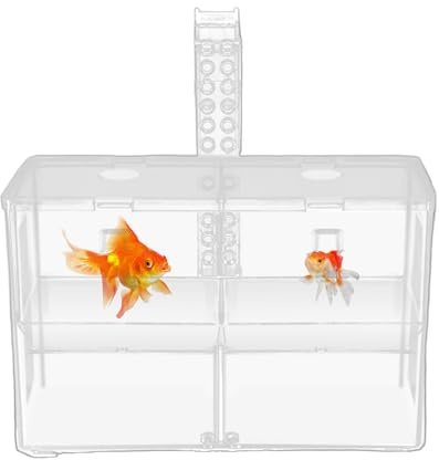 Boîte De Reproduction De Poissons D'Aquarium - Incubateur D'Isolement Transparent | Boîte À Poisson À Double Compartiment,pour Eau salée et Douce, Culture Nourriture Vivante, Observation