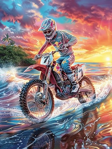 Piloto de Motocross en un cañón ardiente Puzzle 300 Piezas Familiar Creativo Lindo Cuento de Hadas acompañante Rompecabezas 3D para Familia Juguete Educativo Construir Maquetas Aliviar Estrés 300 PCS