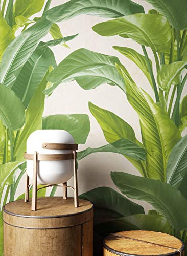 NEWROOM Tapete Grün Vliestapete Blumen - Blumentapete Floral Creme Blätter Dschungel Blätter Tropisch Mustertapete inkl. Tapezier-Ratgeber