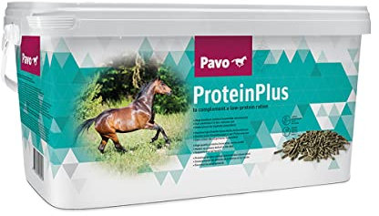 Pavo ProteinPlus | Hochkonzentrierte Eiweißquelle | 7 KG