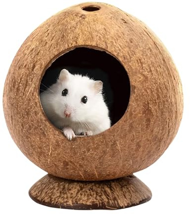 Yeqqzq Coconut Hut Hamster House Bed, Coconut Shell House for Gerbils Gecko, Snake & Ball Python Mice Guinea Pig Small Animal
