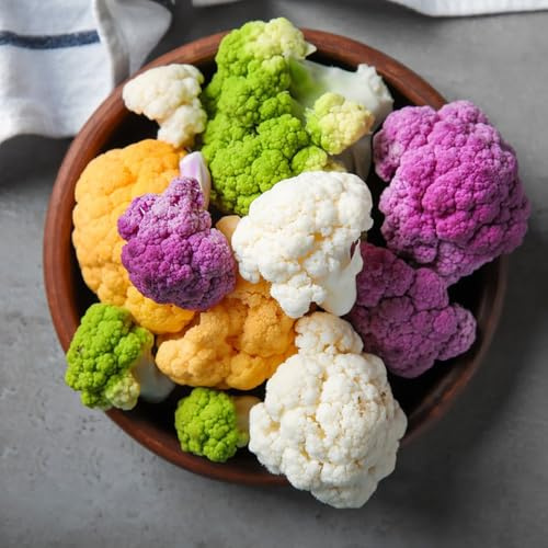 semillas de coliflor - resistentes decoración invernadero 225pcs