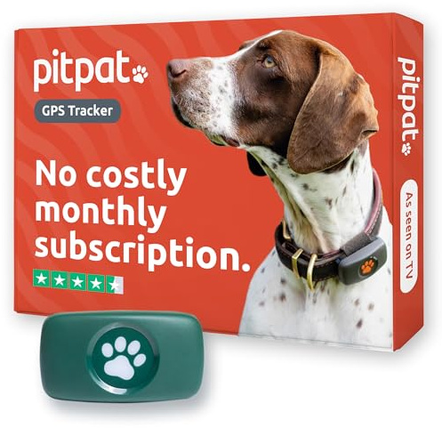 PitPat Localizzatore GPS per cani, non richiede abbonamento, adatto a tutti i cani e si adatta a tutti i collari, smart activity tracker, tracciamento satellitare con portata illimitata (Verde)