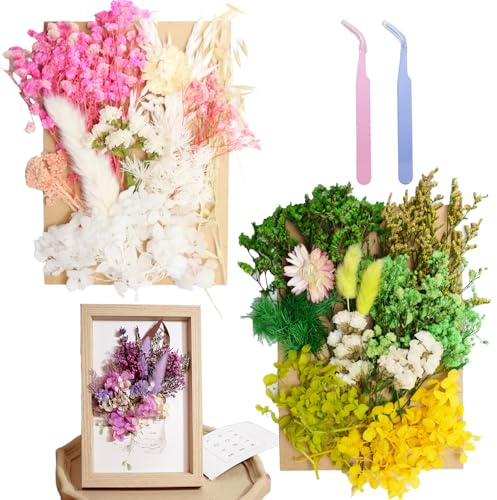 Real Dried Flowers Natural Dry Flowers Mixed Colors Dried Leaf Bouquet for DIY Arts, Resin, Jewelry, Scrapbooking & Wedding Home Decor(White Green)