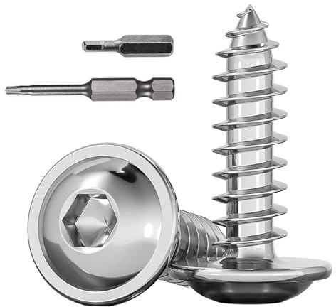 Dayalo 100 Stück Holzschrauben M3 x 10mm, Edelstahlschrauben Holz, Selbstschneidende Schrauben, Edelstahl A2 V2A, Linsenkopfschrauben Holz mit Schraubendreher Bit für Möbel Installation