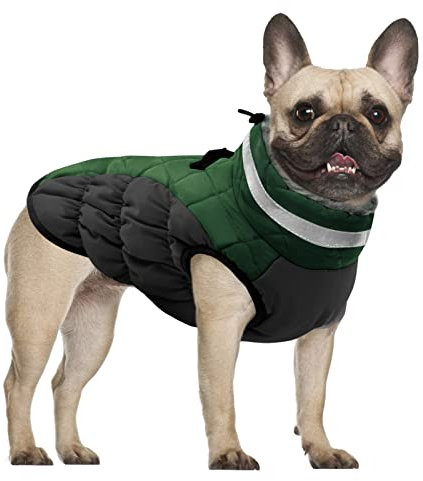 CITÉTOILE Hundemantel für Kleine Hunde Mit Geschirr, Warme Wasserdichte Hundejacke, Fleece Gefütterte Winddichte Reflektierende Winterweste für Dackel, Bulldogge