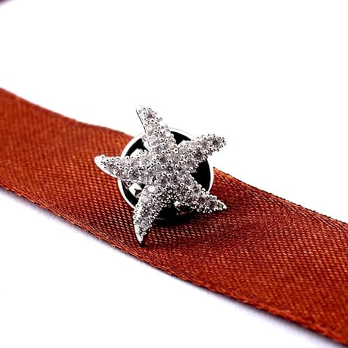 JINZIJINYU Damen Strass Brosche 2 Teiliges Kleines Seestern Brosche Set Mit Diamant Kristall Anti Exposition Schnalle Kleidungszubehör Schal Schnalle Schmuck