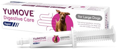 YuMOVE Digestive Care Rapid Dog Probiotic Paste for Gut Health, Digestive Supplements with Fast-Acting Ingredients for Large Dogs, 60ml
