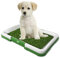 WELPEN Gras HUNDEKLO Matte, Kunstrasen saugfähige Matten im, Hundeklo Hundetoilette Welpentoilette auslaufsicherg, Hunde-Fixpunkttraining, Design mit Schnell Trocknender Oberfläche.